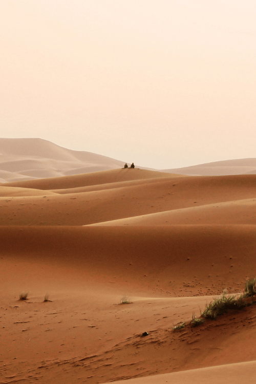 Destination expertise in marrakesh wedding and events planning by lmdina events